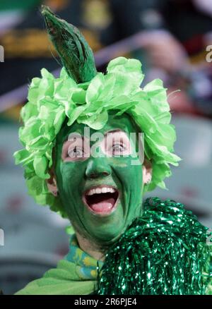 Ein Unterstützer erwartet den Beginn des Spiels Südafrika gegen Namibia Pool D der Rugby-Weltmeisterschaft 2011, North Harbour Stadium, Auckland, Neuseeland, Donnerstag, 22. September 2011. Stockfoto