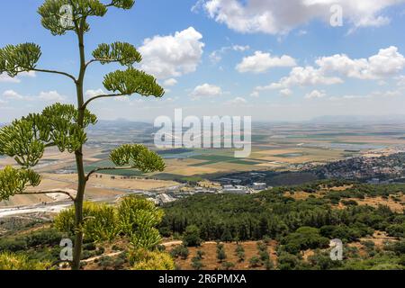 Von Mount Carmel, Israel aus blickt man auf den Ramat David Airbase der israelischen Luftwaffe, vorbei an einem Agavenbaum. Stockfoto