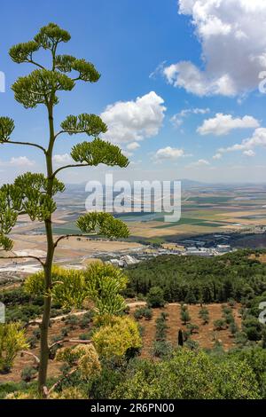 Von Mount Carmel, Israel aus blickt man auf den Ramat David Airbase der israelischen Luftwaffe, vorbei an einem Agavenbaum. Stockfoto