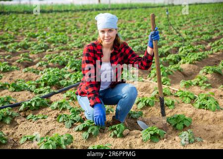 Positive junge Bäuerin im Frühjahr auf dem Gemüsefeld Stockfoto