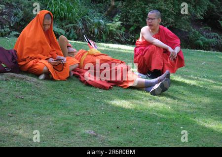 Drei buddhistische Mönche in roten und orangefarbenen Bademänteln, die sich unterhalten, auf Gras sitzen und sich in der Sonne entspannen und ihre Handys checken Stockfoto