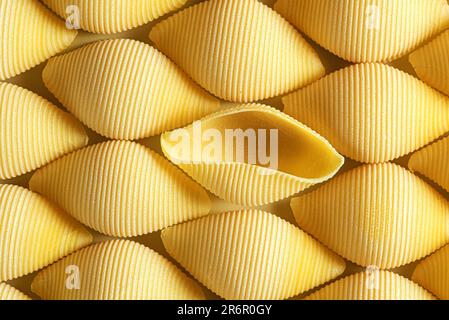 Pasta Conchiglioni Muster. Abstrakter kreativer kulinarischer Hintergrund. Draufsicht Stockfoto