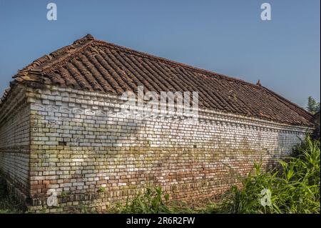 09 01 2008 traditionelle Tondachziegel und Dorfhaus in Brickwall in der Nähe von Chhapaiya Uttar Pradesh Indien Asien. Stockfoto