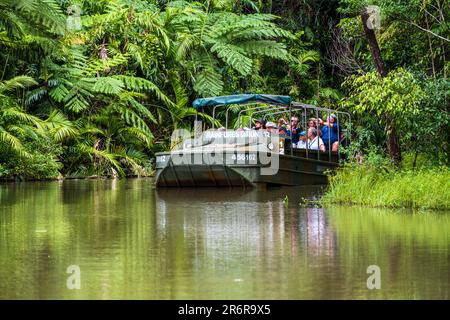 Barron Gorge National Park, Australien -- 20. Februar 2023. Foto einer Reisegruppe, die in einem Amphibienfahrzeug der Army Duck durch den Regenwald fährt. Stockfoto