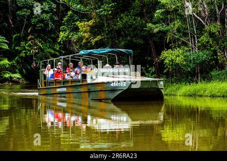 Barron Gorge National Park, Australien -- 20. Februar 2023. Foto einer Reisegruppe, die in einem Amphibienfahrzeug der Army Duck durch den Regenwald fährt. Stockfoto