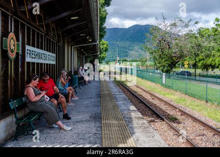 Cairns, Australien -- 20. Februar 2023. Ein Foto von Touristen, die auf Bänken warten, um den Kuranda Scenic Train am Bahnhof Freshwater zu bestaunen. Stockfoto