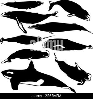 Anmutige Wale in Vektorsilhouette mit stilisierter Illustration Stock Vektor