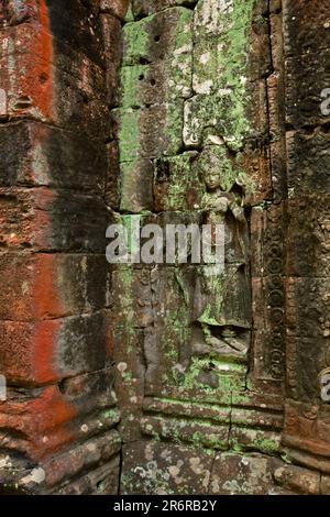 Banteay Kdei ist ein kleiner, aber sehr exquisiter Tempel in der Nähe von Ta Prohm, der nicht sehr renoviert, aber nur geschützt ist. Es wurde von König Jayavarman erbaut. Stockfoto