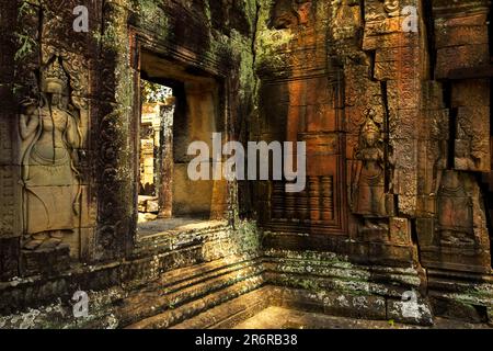 Banteay Kdei ist ein kleiner, aber sehr exquisiter Tempel in der Nähe von Ta Prohm, der nicht sehr renoviert, aber nur geschützt ist. Es wurde von König Jayavarman erbaut. Stockfoto