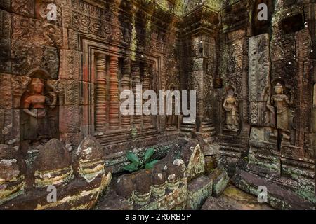 Banteay Kdei ist ein kleiner, aber sehr exquisiter Tempel in der Nähe von Ta Prohm, der nicht sehr renoviert, aber nur geschützt ist. Es wurde von König Jayavarman erbaut. Stockfoto