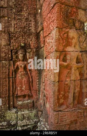 Banteay Kdei ist ein kleiner, aber sehr exquisiter Tempel in der Nähe von Ta Prohm, der nicht sehr renoviert, aber nur geschützt ist. Es wurde von König Jayavarman erbaut. Stockfoto