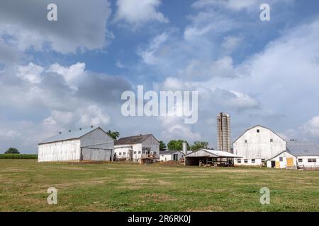 Bauernhof mit Feld- und Silo in einer wunderschönen Landschaft Stockfoto