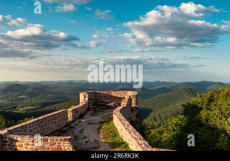 Blick über die Burgruinen von Wegelnburg und die Nachmittagssonne auf dem Pfalz-Panorama im Frühling, Rheinland-Pfalz, Deutschland Stockfoto