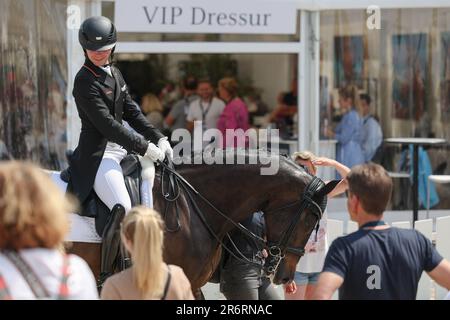 Balve, Deutschland. 11. Juni 2023. Reitsport: Deutsche Meisterschaft, Dressur. Dressaurier Raphael Netz reitet Great Escape Camelot bei der Dressage Championship (Grand Prix Freestyle). Kredit: Friso Gentsch/dpa/Alamy Live News Stockfoto