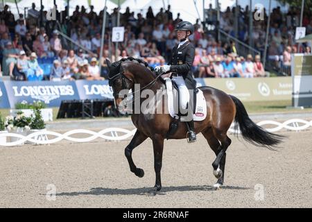 Balve, Deutschland. 11. Juni 2023. Reitsport: Deutsche Meisterschaft, Dressur. Dressaurier Raphael Netz reitet Great Escape Camelot bei der Dressage Championship (Grand Prix Freestyle). Kredit: Friso Gentsch/dpa/Alamy Live News Stockfoto