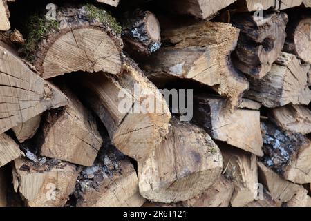 Ein Stapel Holzstämme mit einer Fülle an grünem Moos, das auf ihnen wächst, an einer Steinmauer platziert Stockfoto