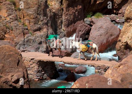 Auf einem Wanderweg im Toubkal-Nationalpark im marokkanischen Atlasgebirge Stockfoto