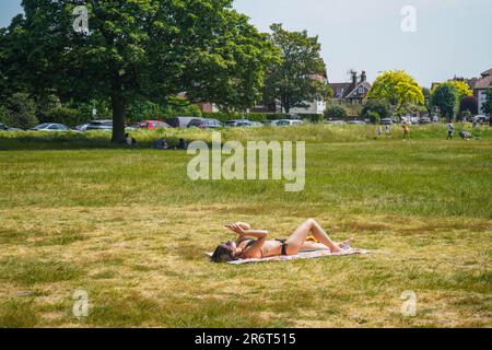 London UK. 11 . Juni 2023 . Menschen genießen die Sonne am Wimbledon Common, Südwesten Londons an einem heißen und feuchten Tag. Das heiße Wetter wird aufgrund einer iberischen Pflaume mit Temperaturen von 31celsius, 87 Grad Celsius fortgesetzt. Kredit: amer Ghazzal/Alamy Live News Stockfoto