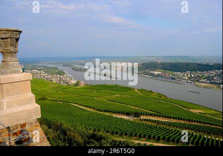 Ruedesheim am Rhein, Niederwalddenkmal, UNESCO-Weltkulturerbe Oberes Mittelrheintal, Rheinbeobachtung, Blick auf Bingen am Rhein Stockfoto