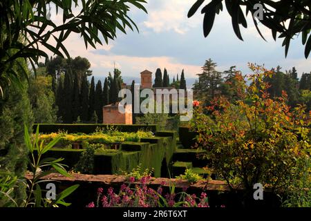 Blick von den Gärten des Generalife auf Teile der Alhambra, Granada Spanien Stockfoto