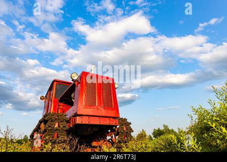 Der rote Traktor des alten Modells steht auf dem Feld. Roter alter Traktor. Traktor aus einem niedrigeren Winkel fotografiert. Der alte sowjetische Traktor steht auf dem Feld Stockfoto