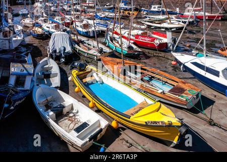 Überfüllter Hafen in North Berwick Stockfoto