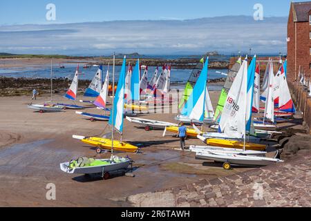 NORTH BERWICK, EAST LOTHIAN, SCHOTTLAND - AUGUST 14 : bunte Jachten am North Berwick Harbour in Schottland am 13. August 2010. Zwei Stockfoto