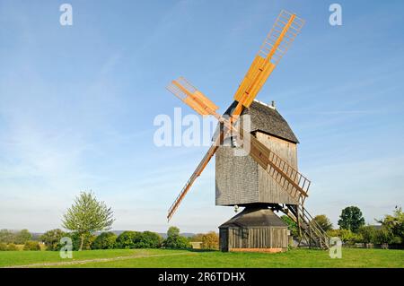 Bockwindmühle, Westfälisches Landesmuseum für Folklore, Landschaftsverband Westfalen-Lippe, LWL-Freilichtmuseum, Detmold, Nordrhein-Westfalen Stockfoto