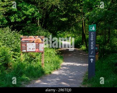 Eintritt zum Staple Hill, dem höchsten Punkt der Blackdown Hills, Somerset, Großbritannien Stockfoto