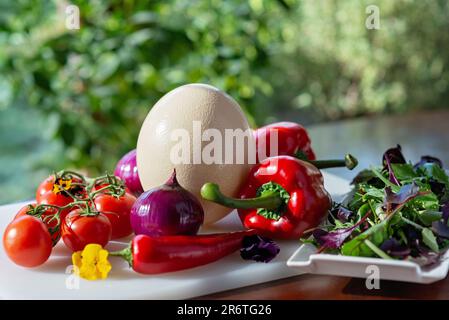 Straußenei, ökologisches Gemüse, Tomaten, Paprika, Zwiebeln, Chili, Salat. Zutaten zum Kochen von Omelett, Shakshuka. Weichzeichnerfokus. Stockfoto