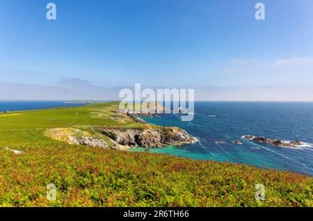 Blick von Great Saltee Island in Richtung Atlantik entlang der Küste von Wexford, Irland Stockfoto