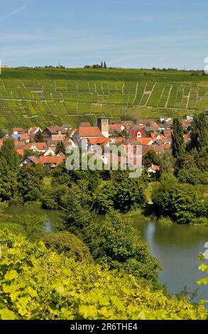 Weindorf Mundelsheim am Neckar, Weinbergterrassen, Steingarten, Kletterfelsen Stockfoto