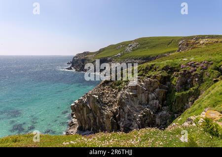 Blick von Great Saltee Island in Richtung Atlantik entlang der Küste von Wexford, Irland Stockfoto