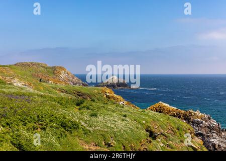 Blick von Great Saltee Island in Richtung Atlantik entlang der Küste von Wexford, Irland Stockfoto