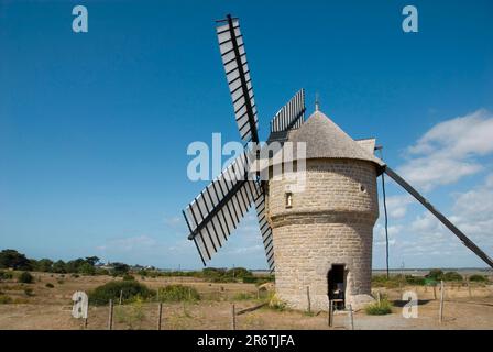 Windmühle, Moulin Faise, Batz-sur-Mer, Loire Atlantique, Pays de la Loire, Frankreich Stockfoto