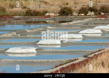 Salzmarschen, Gewinnung, Meersalz, Produktion, Salzwerke, L'Epine, Ile de Noirmoutier, Charente-Maritime, Poitou-Vendee, Frankreich Stockfoto