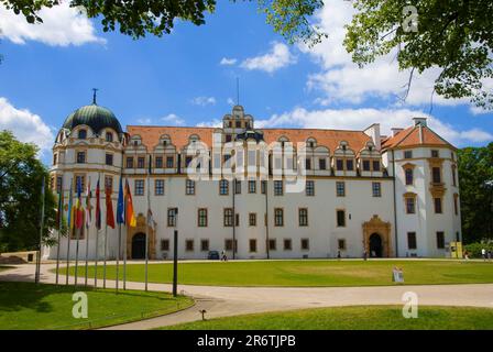 Schloss, erbaut 1292, Celle, Niedersachsen, Deutschland, Schloss Guelph, Herzogliches Schloss Stockfoto