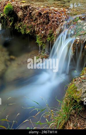 Waldstrom, Quelle des Flusses Cuervo, Vega del Codorn, Provinz Cuenca, Castilla-La Mancha, Spanien Stockfoto