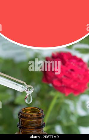 Ein Tropfen Rohmaterial fließt aus einer medizinischen Pipette. Ein kosmetischer Tropfer, aus dem Flüssigkeit tropft. Auf blauen Hintergrund fallen lassen. Speicherplatz kopieren Stockfoto