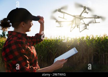 Der Landwirt steuert das Drohnenspray mit einem Tablet. Intelligente Landwirtschaft und Präzisionslandwirtschaft Stockfoto