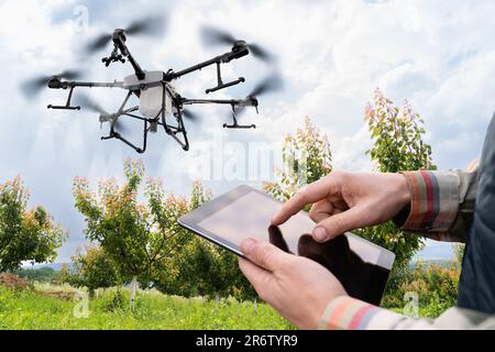 Der Landwirt steuert das Drohnenspray mit einem Tablet. Intelligente Landwirtschaft und Präzisionslandwirtschaft Stockfoto