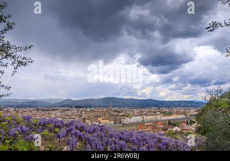 Die Skyline von Florenz in Italien: In der Ferne die Basilika Santa Croce und der Fluss Arno vom Bardini-Garten aus gesehen mit der typischen Wisteria. Stockfoto