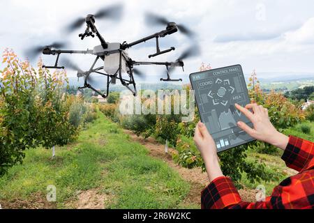 Der Landwirt steuert das Drohnenspray mit einem Tablet. Intelligente Landwirtschaft und Präzisionslandwirtschaft Stockfoto