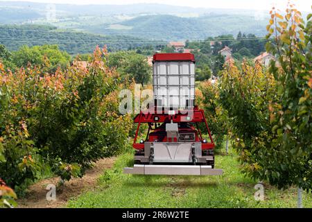 Die autonome Roboterspritze arbeitet in einem Obstgarten. Konzept der intelligenten Landwirtschaft Stockfoto