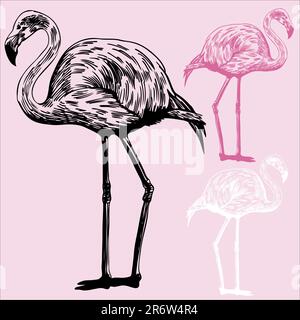 Skizze eines Flamingo-Vogels auf hellrosa Hintergrund mit Farboptionen. Stock Vektor