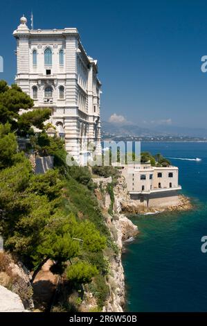 Forschungsinstitut, Musee Oceanographique, Ozeanographisches Museum, Monaco-Ville, Monte Carlo, Cote d Azur, Monaco Stockfoto
