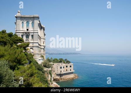 Forschungsinstitut, Musee Oceanographique, Ozeanographisches Museum, Monaco-Ville, Monte Carlo, Cote d'Azur, Monaco Stockfoto