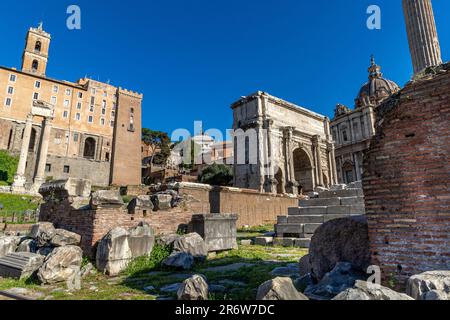 Das Forum Romanum befindet sich im Zentrum der antiken Stadt Rom von Palatin aus gesehen, Rom, Italien Stockfoto