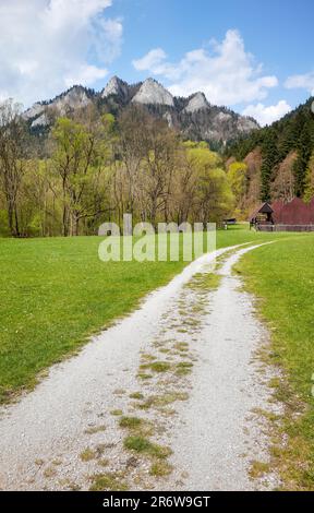 Unbefestigte Straße, die zum Gipfel von Trzy Korony (drei Kronen) im Pieniny National Park, dem Roten Kloster, Slowakei führt. Stockfoto