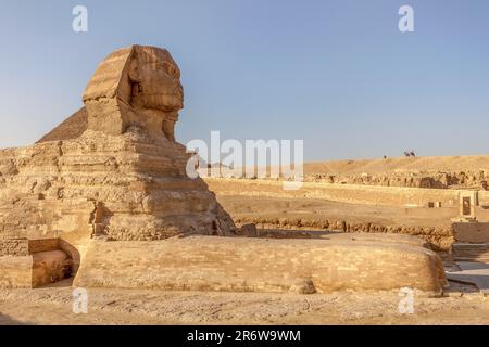 Große Sphinx von Gizeh, Kairo Stockfoto